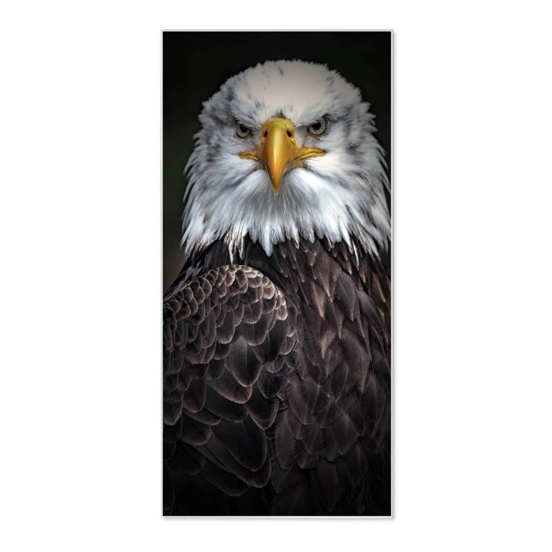 Banjado Magnettafel 37x78cm Magnetwand  Weiß Aus Metall Magnetpinnwand Pinnwand Inkl. 4 Magnete Motiv Adler von Banjado