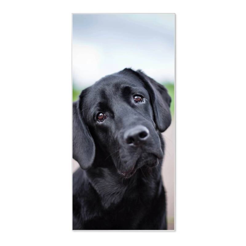 Banjado Magnettafel 37x78cm Magnetwand  Weiß Aus Metall Magnetpinnwand Pinnwand Inkl. 4 Magnete Motiv Paolo von Banjado