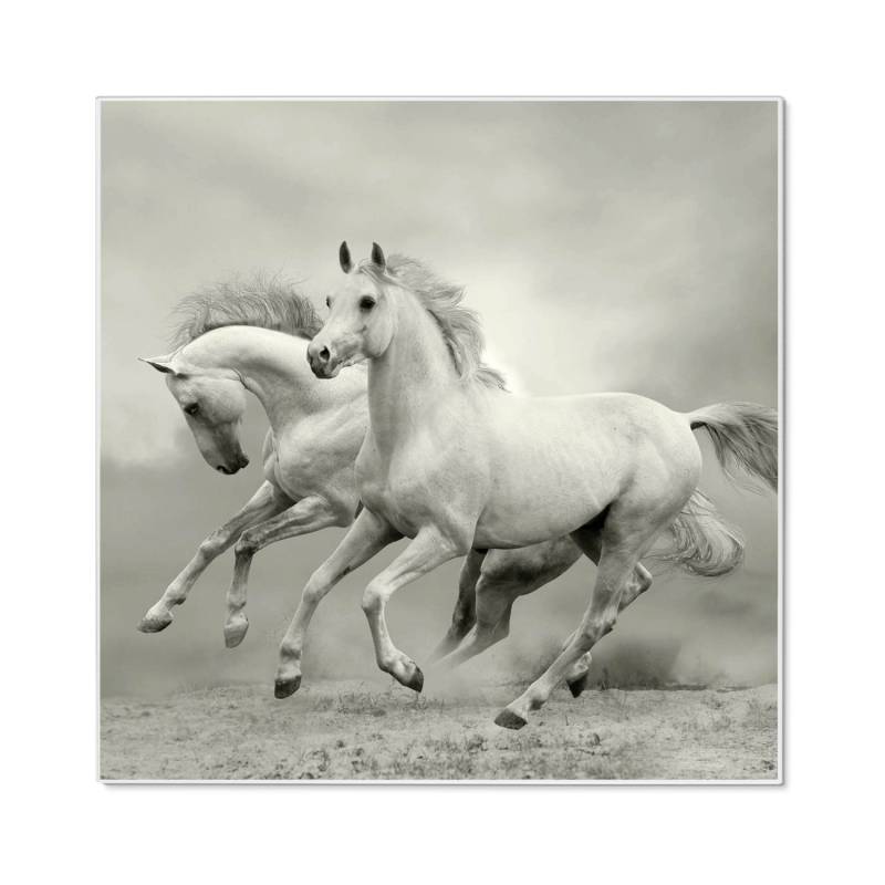 Banjado Magnettafel 50x50cm Magnetwand Weiß Aus Metall Magnetpinnwand Pinnwand Inkl. 4 Magnete Motiv Wilde Pferde Sw Banjado Magnettafel 50x50cm Magnetwand Weiß Aus Metall Magnetpinnwand Pinnwand Inkl. 4 Magnete Motiv Wilde Pferde Sw von Banjado