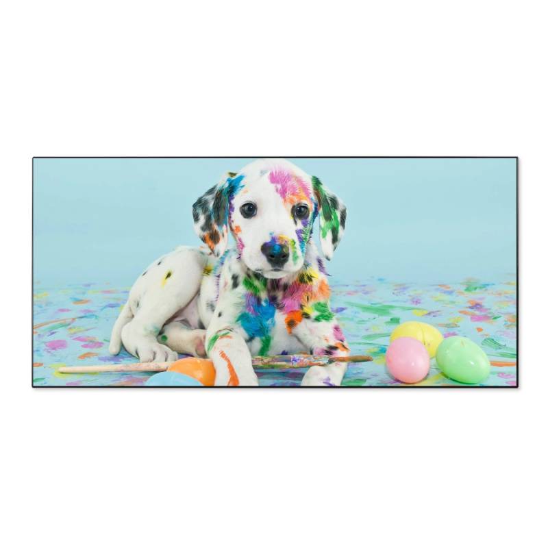 Banjado Magnettafel 78x37cm Magnetwand  Schwarz Aus Metall Magnetpinnwand Pinnwand Inkl. 4 Magnete Motiv Bunter Dalmatiner von Banjado