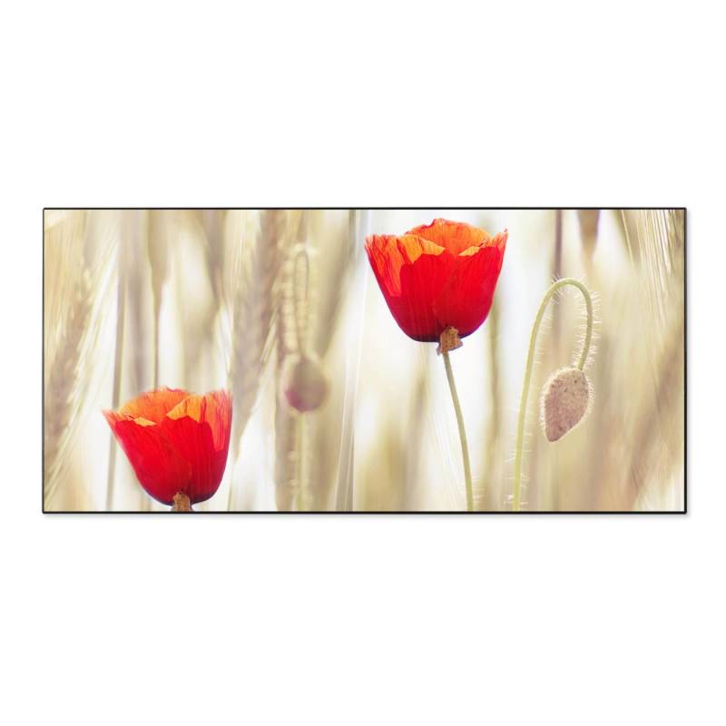 Banjado Magnettafel 78x37cm Magnetwand Schwarz Aus Metall Magnetpinnwand Pinnwand Inkl. 4 Magnete Motiv Klatschmohn Banjado Magnettafel 78x37cm Magnetwand Schwarz Aus Metall Magnetpinnwand Pinnwand Inkl. 4 Magnete Motiv Klatschmohn von Banjado