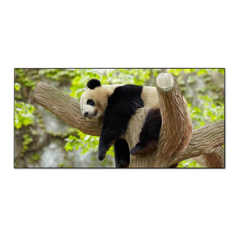 Banjado Magnettafel 78x37cm Magnetwand  Schwarz Aus Metall Magnetpinnwand Pinnwand Inkl. 4 Magnete Motiv Panda von Banjado