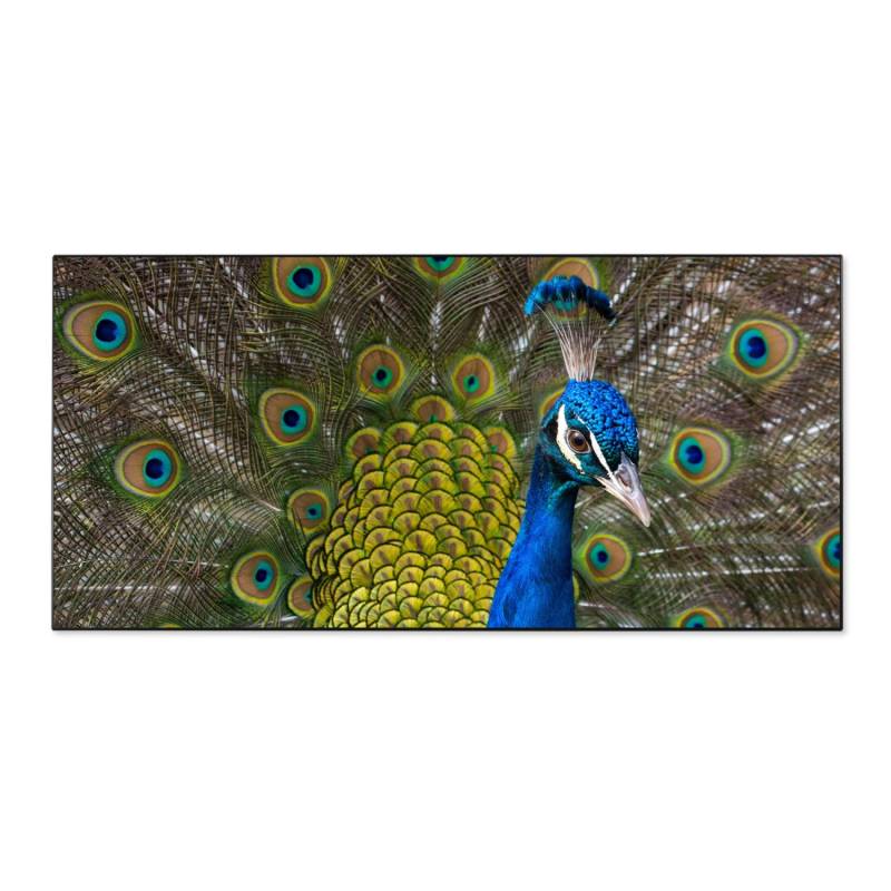 Banjado Magnettafel 78x37cm Magnetwand  Schwarz Aus Metall Magnetpinnwand Pinnwand Inkl. 4 Magnete Motiv Pfau von Banjado