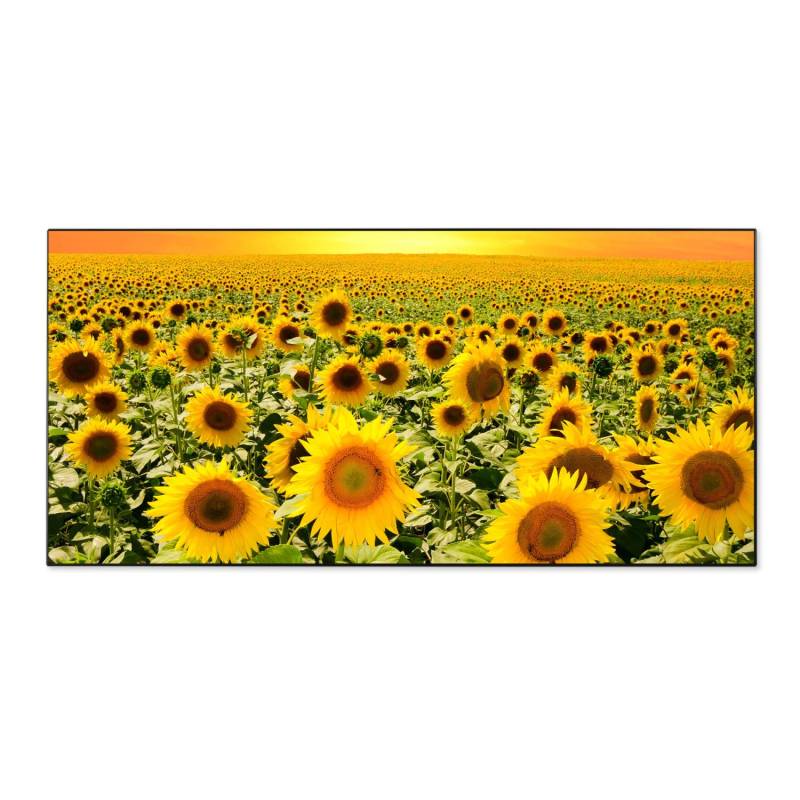 Banjado Magnettafel 78x37cm Magnetwand  Schwarz Aus Metall Magnetpinnwand Pinnwand Inkl. 4 Magnete Motiv Sonnenblumenmeer von Banjado