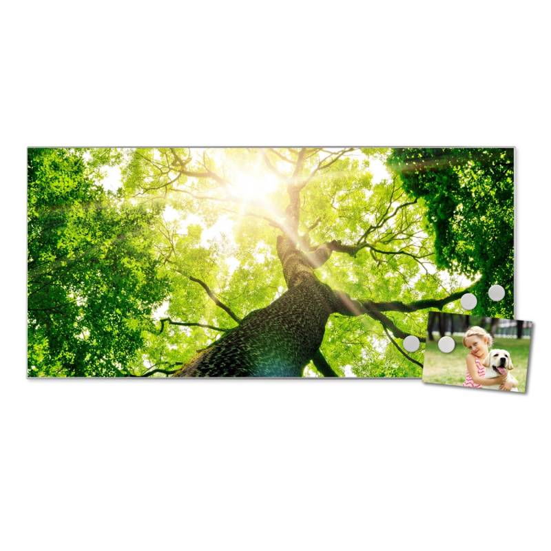 Banjado Magnettafel 78x37cm Magnetwand Silber Aus Metall Magnetpinnwand Pinnwand Inkl. 4 Magnete Motiv Baumkrone Banjado Magnettafel 78x37cm Magnetwand Silber Aus Metall Magnetpinnwand Pinnwand Inkl. 4 Magnete Motiv Baumkrone von Banjado