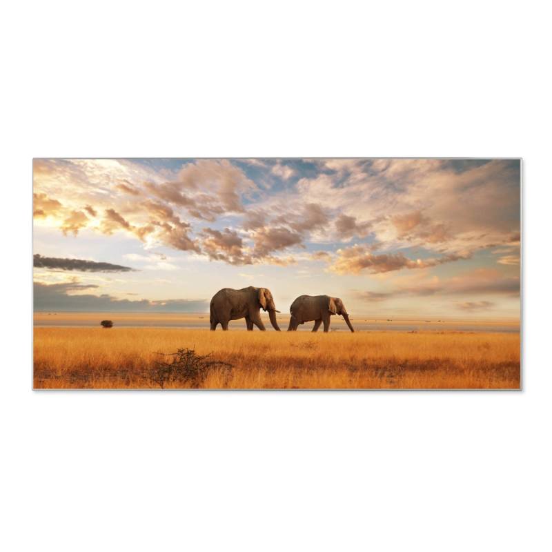 Banjado Magnettafel 78x37cm Magnetwand  Silber Aus Metall Magnetpinnwand Pinnwand Inkl. 4 Magnete Motiv Elefanten von Banjado