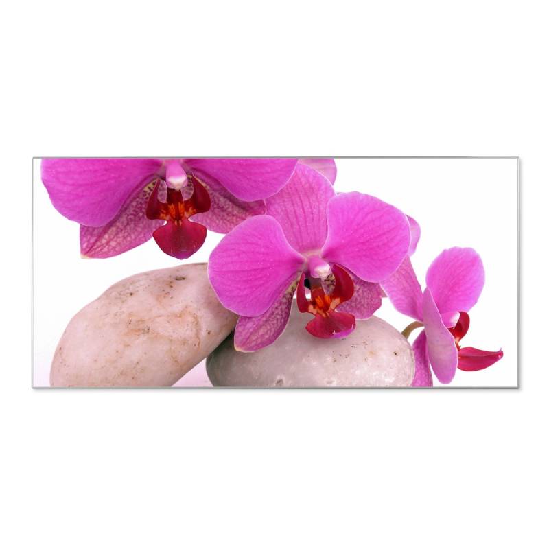 Banjado Magnettafel 78x37cm Magnetwand  Silber Aus Metall Magnetpinnwand Pinnwand Inkl. 4 Magnete Motiv Orchidee von Banjado