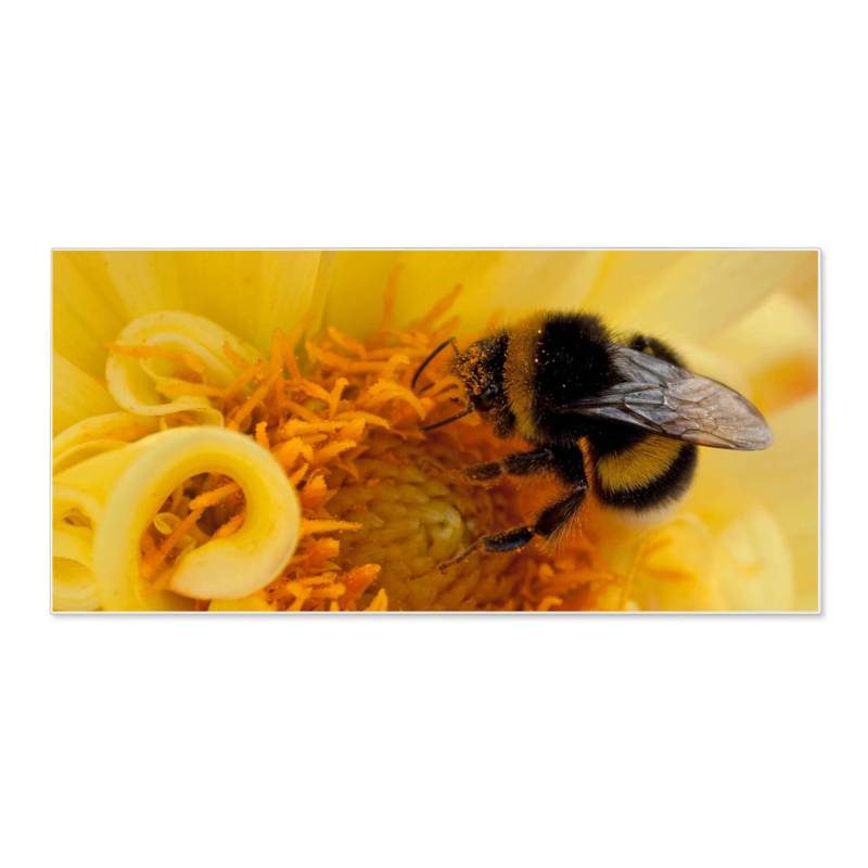 Banjado Magnettafel 78x37cm Magnetwand Weiß Aus Metall Magnetpinnwand Pinnwand Inkl. 4 Magnete Motiv Hummel Banjado Magnettafel 78x37cm Magnetwand Weiß Aus Metall Magnetpinnwand Pinnwand Inkl. 4 Magnete Motiv Hummel von Banjado