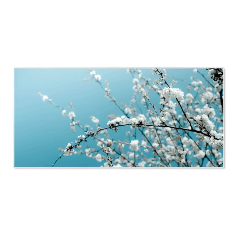 Banjado Magnettafel 78x37cm Magnetwand  Weiß Aus Metall Magnetpinnwand Pinnwand Inkl. 4 Magnete Motiv Weiße Kirschblüten von Banjado