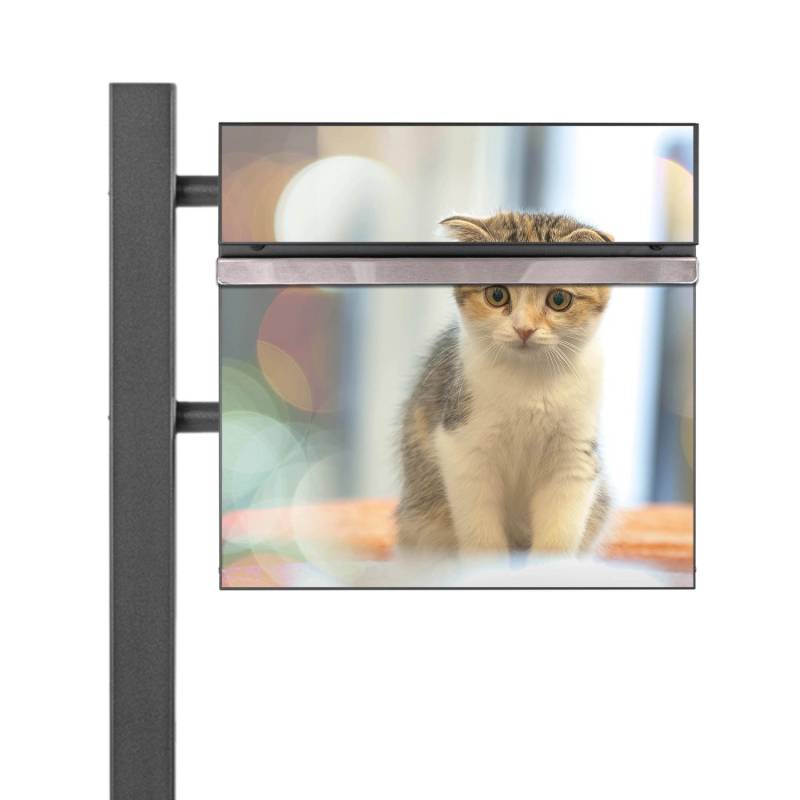 Banjado Standbriefkasten Anthrazit 45x120x16.5cm Groß Inkl. Montagematerial & 2 Schlüsseln Motiv Kleine Katze von Banjado