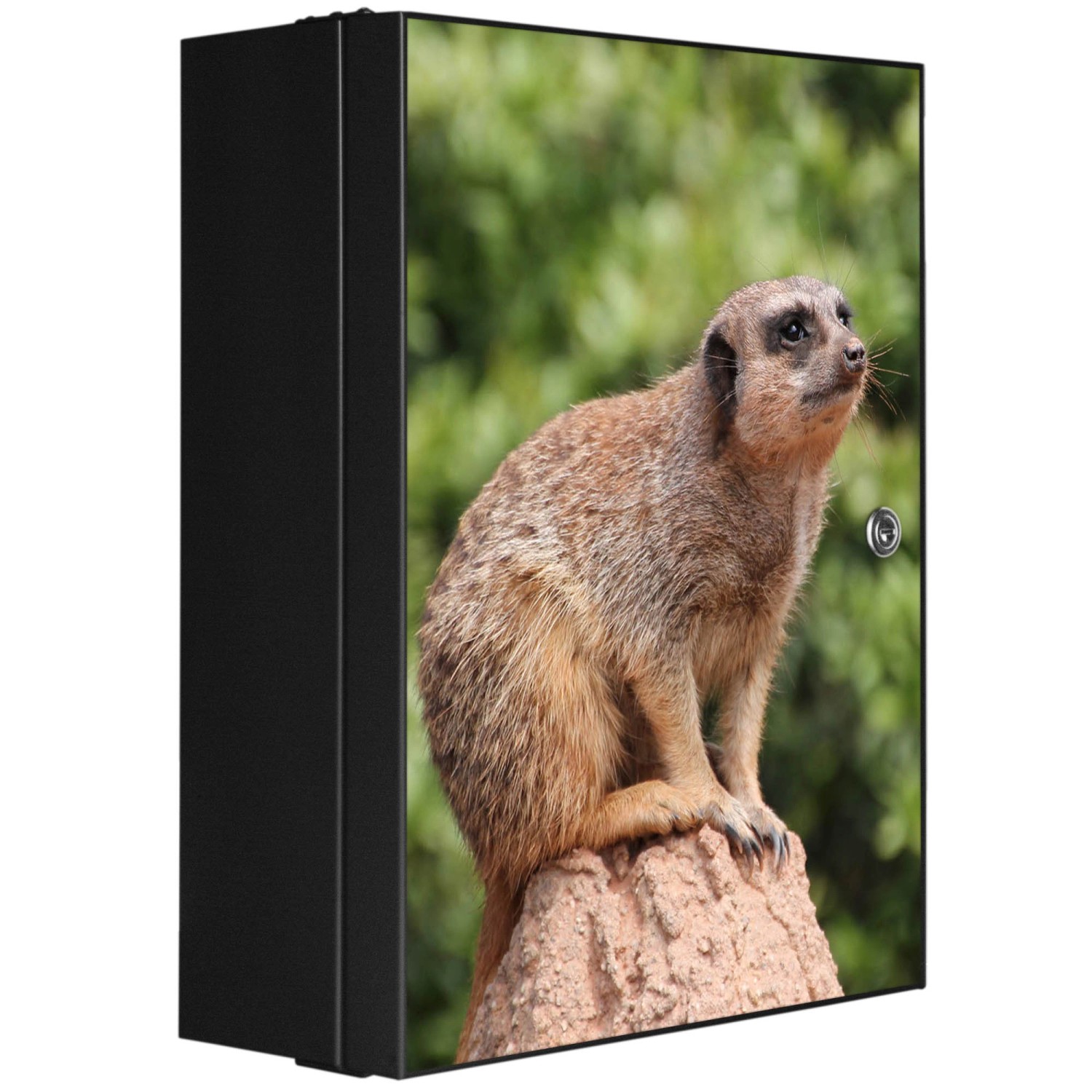 Banjado XXL Medizinschrank Abschliessbar 35x46x15cm Arzneischrank Anthrazit Aus Metall Front Mit Motiv Sitzendes Erdmännchen von Banjado