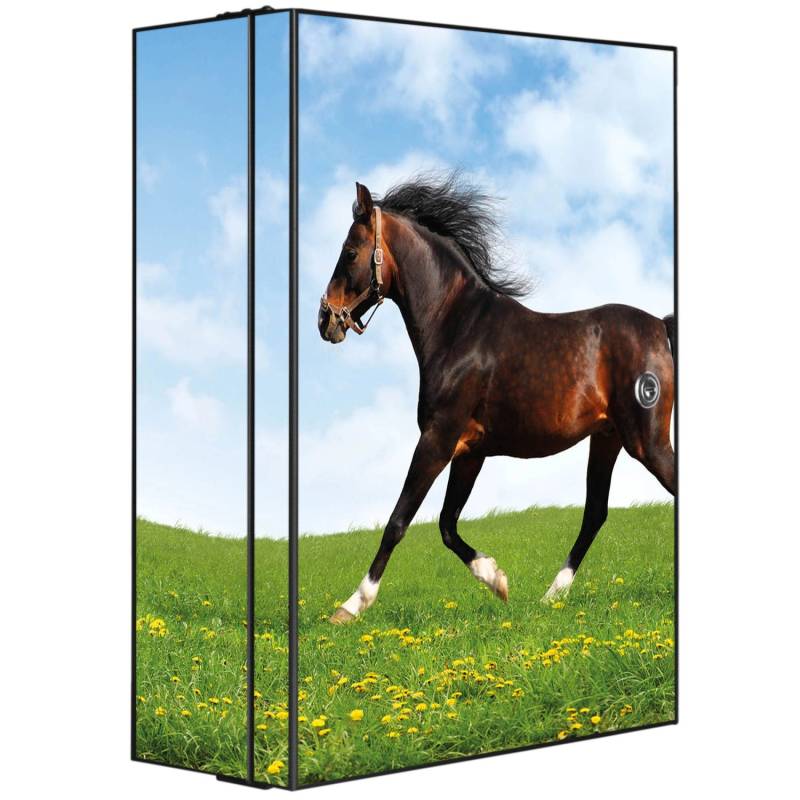 Banjado XXL Medizinschrank Abschliessbar 35x46x15cm Arzneischrank Anthrazit Aus Metall Mit Motiv Motiv Pferd von Banjado