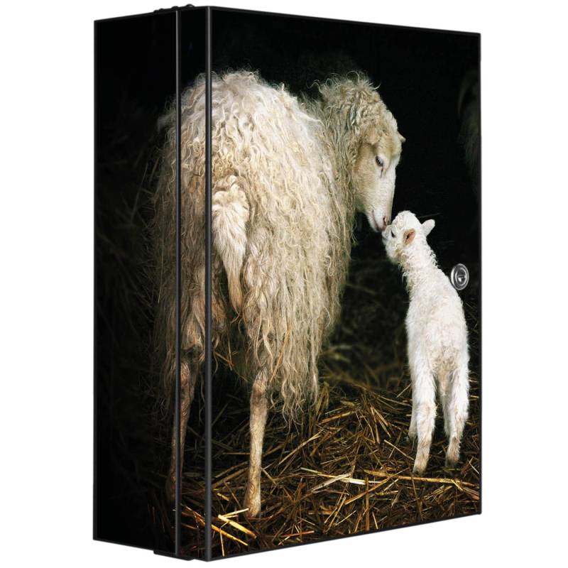 Banjado XXL Medizinschrank Abschliessbar 35x46x15cm Arzneischrank Anthrazit Aus Metall Mit Motiv Schaf Und Lamm von Banjado
