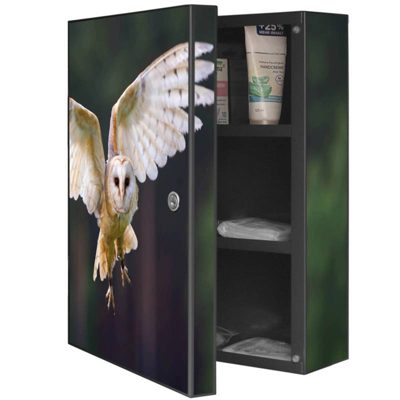 Banjado XXL Medizinschrank Abschliessbar 35x46x15cm Arzneischrank Anthrazit Aus Metall Mit Motiv Schleiereule von Banjado