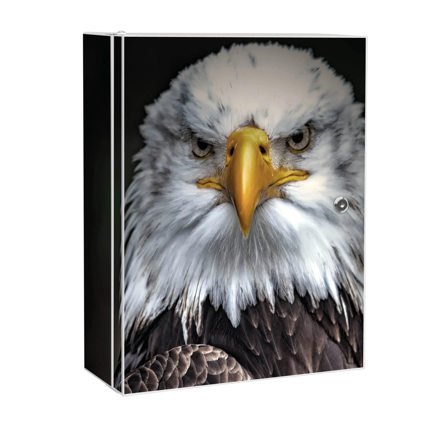 Banjado XXL Medizinschrank Abschliessbar 35x46x15cm Arzneischrank Weiß Aus Metall Mit Motiv Adler Banjado XXL Medizinschrank Abschliessbar 35x46x15cm Arzneischrank Weiß Aus Metall Mit Motiv Adler von Banjado