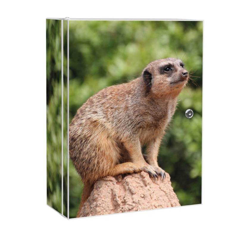Banjado XXL Medizinschrank Abschliessbar 35x46x15cm Arzneischrank Weiß Aus Metall Mit Motiv Sitzendes Erdmännchen von Banjado