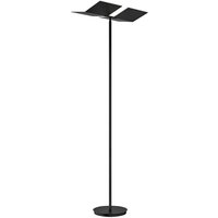 Bankamp Leuchten Book Plus LED Stehleuchte schwarz Bankamp Leuchten Book Plus LED Stehleuchte schwarz von Bankamp Leuchten