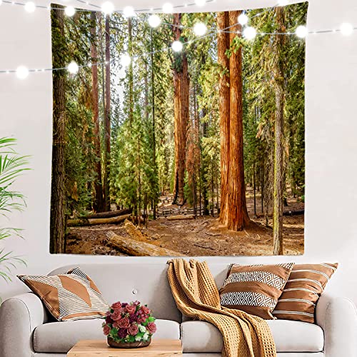 BaoNews Autumn Tree California Tapisserie, Redwood Trees Sequoia National Park Große Wandbehang Tischdecken Psychedelic Tapestry Schlafzimmer Wohnzimmer Schlafsaal 150 x 150 cm (Rotholz Grün Holz) von BaoNews
