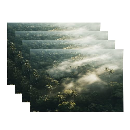 Baonews Misty Morning Forest Canopy Platzsets, Palmen, Sonnenstrahlen, Platzsets für Esszimmer/Küchentisch, wasserdicht, waschbar, Leinen, Wärmeisolierung, Abendessen, Tischsets, 30,5 x 45,7 cm, 4 von BaoNews
