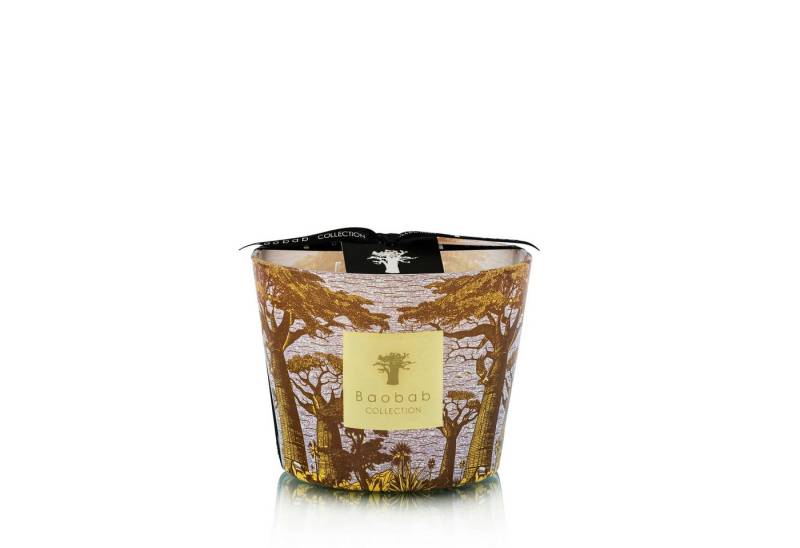 Baobab Duftkerze Baobab Duftkerze Sacred Trees Cocody von Baobab
