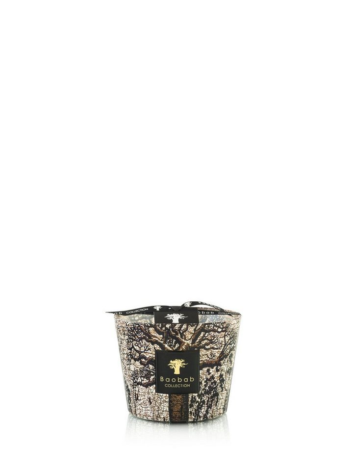 Baobab Duftkerze Baobab Max 10 Sacred Trees Morondo von Baobab