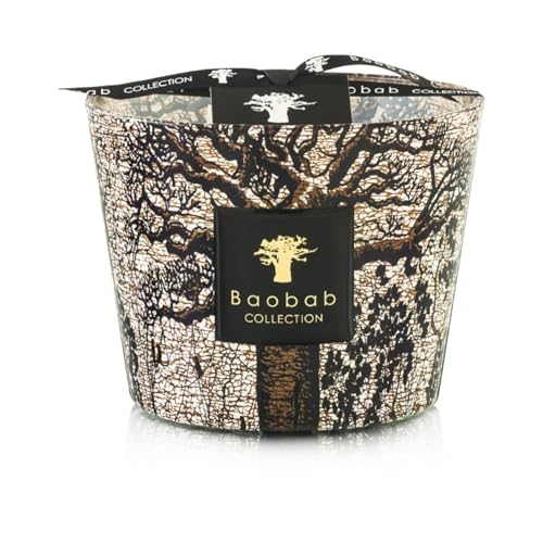 Candela Baobb Max 10 Sacred Trees MORONDO MAX10STM von Baobab