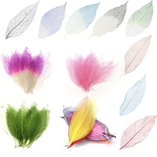 Baoblaze 50er Gemischte Farbe Natürlichen Lindenskelett Blätter für Blumenkunst, Mischfarbe Baoblaze 50er Gemischte Farbe Natürlichen Lindenskelett Blätter für Blumenkunst, Mischfarbe von Baoblaze