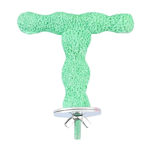 Baoblaze Papageien-Sitzstange, Ständer, Spielzeug, Pfotenschleifen, zu installieren, tragbare Vogelkäfig-Sitzstange für kleine Vögel, Wellensittiche, GrÜn Baoblaze Papageien-Sitzstange, Ständer, Spielzeug, Pfotenschleifen, zu installieren, tragbare Vogelkäfig-Sitzstange für kleine Vögel, Wellensittiche, GrÜn von Baoblaze