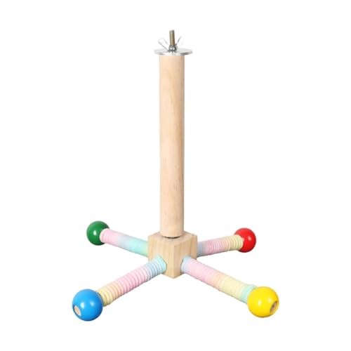 Baoblaze Vogelsitzstange Spielzeug Interaktives Praktisches Premium Holz Übung Papagei Spielzeug Papagei Ständer für Nymphensittiche Sittiche Conures Papageien von Baoblaze