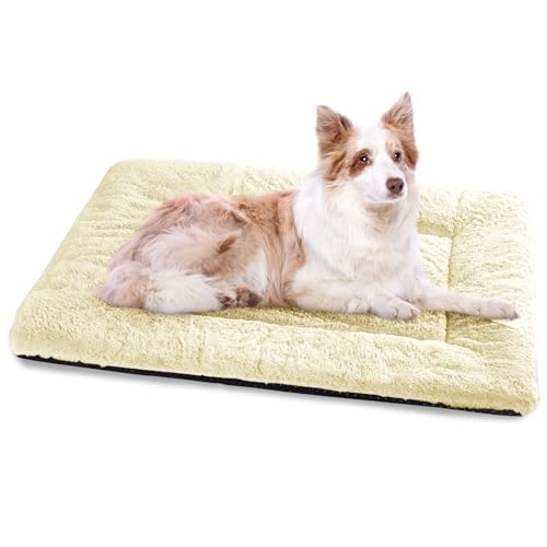 Baodan Hundebett Grosse Hunde, Hundekissen Waschbar Dog Bed - 106x71 cm Superweich Katzenbett mit Rutschfester Unterseite - Beige von Baodan