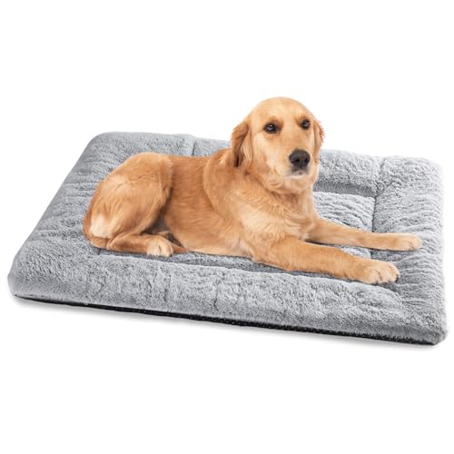 Baodan Waschbar Hundebett Mittelgroße Hunde - 90x60 cm Hundekissen flauschig Hundedecke rutschfest Hundebetten für mittelgroße Hunde, grau von Baodan