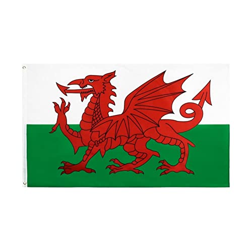 Baokuan Wales Flagge - 3x5 Fuß - Lebendige Farbe Und Abblendung - Red Dragon Welsh National Flags von Baokuan