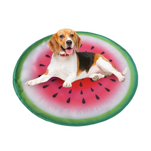 Baoqifong Haustier Kühlmatte,Kühles Schlafkissen Für Hunde - Bequem & Wiederverwendbar Für Reisen Und Zuhause Bei Warmen Temperaturen Für Kleine Tiere von Baoqifong