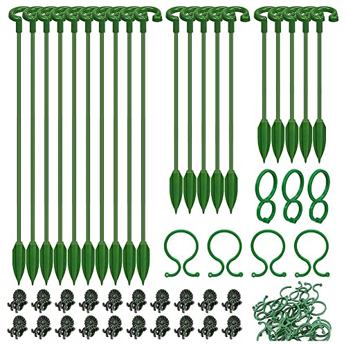 Barabesty 60 StüCk Pflanzen StüTzen Set - 20 Packung Blumen Pflanzen StäBe (3 GrößEn), 20 Pflanzen StüTzen Clips und 20 Orchideen Clips von Barabesty