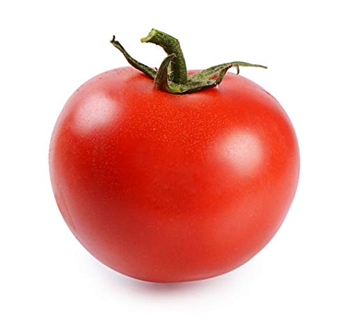 Tomate Harzfeuer F1 1000 Korn von Samenshop 24