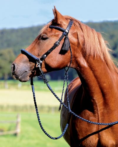 Barefoot Kopfstück Amber schwarz – Sidepull & Gebiss-Zäumung 2 in 1 – verstellbares Kopfstück – inkl. Kinnriemen + 2 Horsehair Tassels – handgeflochtenes Bergseil & brasilianisches Leder – COB von Barefoot