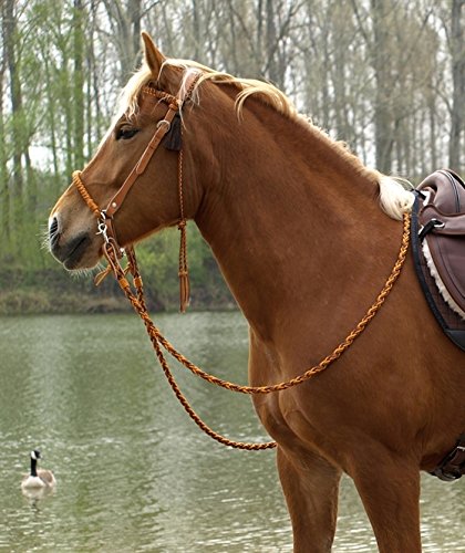 Barefoot Kopfstück Amber orange – Sidepull & Gebiss-Zäumung 2 in 1 – verstellbares Kopfstück – inkl. Kinnriemen + 2 Horsehair Tassels – handgeflochtenes Bergseil & brasilianisches Leder – COB von Barefoot