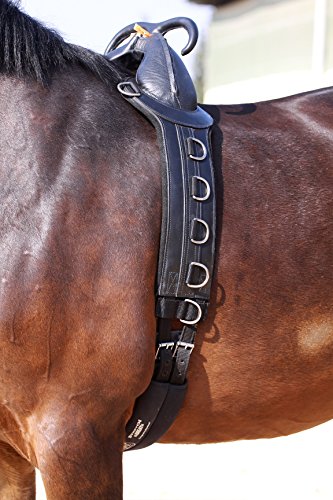 Barefoot Longier- und Therapiegurt von Barefoot