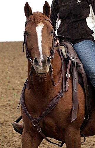 Barefoot Variables Vorderzeug (braun) von Barefoot