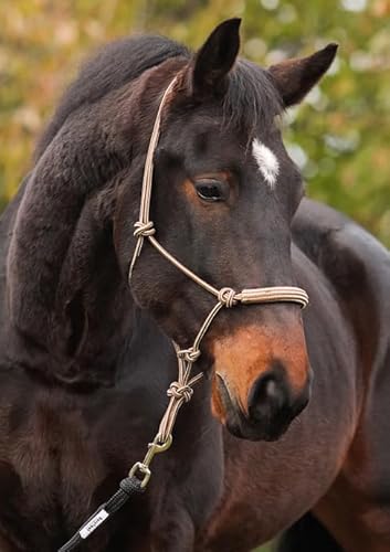 BeGentle Knotenhalfter Braun – Weiches, anschmiegsames Material – zweifarbige Optik – für Bodenarbeit & gebissloses Reiten – Größe Shetty von Barefoot