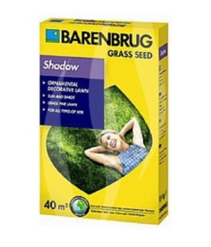 Rasensamen Barenbrug Shadow 1 kg - Great in Grass - Schattenrasen Grassamen von Barenbrug Holland