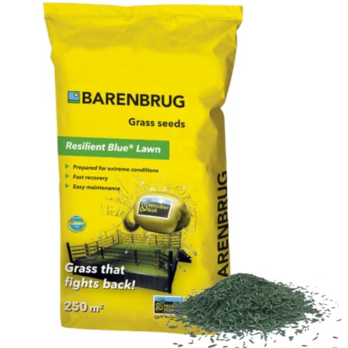 BARENBRUG Resilient Blue Strapazierfähig 5 kg Trittfest! von Barenbrug