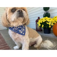 Blaues Bling Bandana Halsband - Bark Avenue von BarkAvenueBling