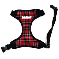 Royal Stuart Hundegeschirr von BarkleyandFetch