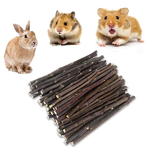 Barley Ears 300g Natürliche Apfelstäbchen, Kaninchen Kauspielzeug Hamster Kau-Stäbchen Zähneknirschen Spielzeug Haustier Kausnacks Sticks für Kaninchen Meerschweinchen Hamster Chinchilla Barley Ears 300g Natürliche Apfelstäbchen, Kaninchen Kauspielzeug Hamster Kau-Stäbchen Zähneknirschen Spielzeug Haustier Kausnacks Sticks für Kaninchen Meerschweinchen Hamster Chinchilla von Barley Ears