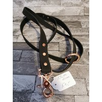 Hexaleine 1, 5M Lang 2cm Breit Rosengold Beschläge von BarneysHundehalsband