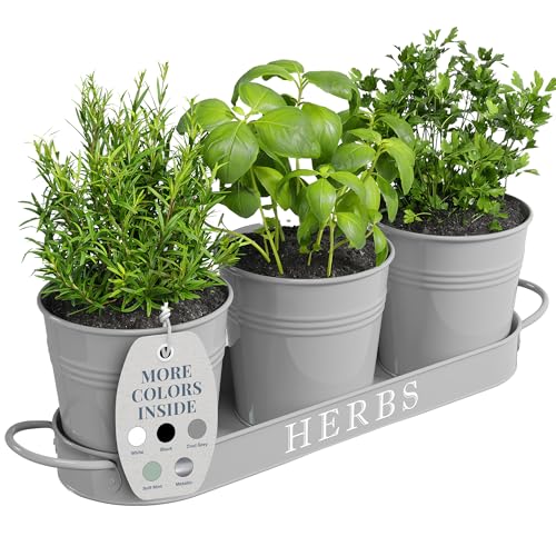 Barnyard Designs Kräutergarten Pflanzgefäß Set mit Tablett, Metall Fensterbank Pflanztöpfe mit Drainage für Außen- oder Zimmerpflanzen, Grau, Set/3 von Barnyard Designs