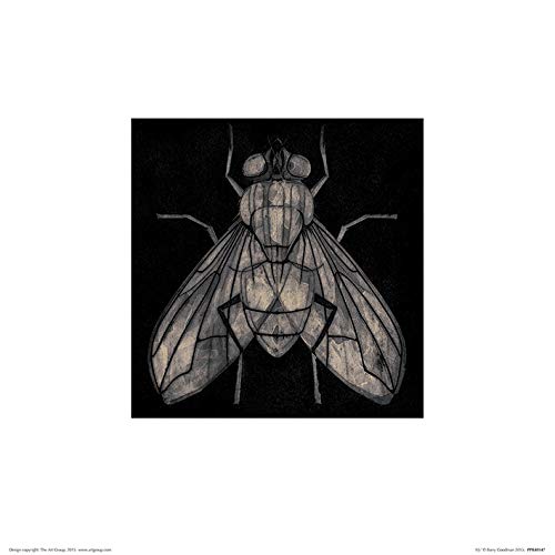 Barry Goodman Kunstdrucke, Papier, Mehrfarbig, 30 x 30 cm Barry Goodman Kunstdrucke, Papier, Mehrfarbig, 30 x 30 cm von Barry Goodman