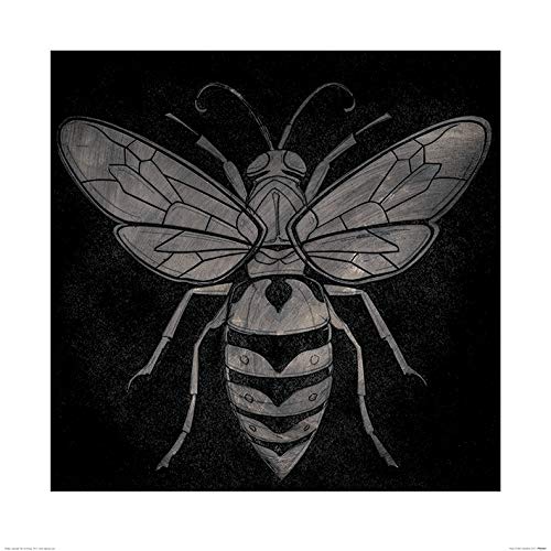 Barry Goodman Kunstdrucke, Papier, Mehrfarbig, 60 x 60 cm Barry Goodman Kunstdrucke, Papier, Mehrfarbig, 60 x 60 cm von Barry Goodman