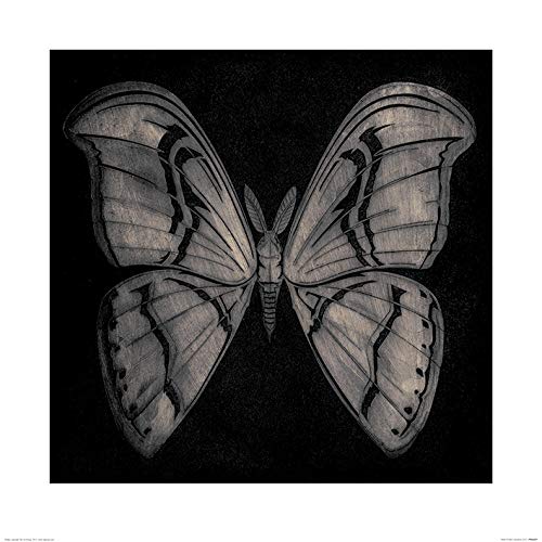 Barry Goodman Kunstdrucke, Papier, Mehrfarbig, 60 x 60 cm Barry Goodman Kunstdrucke, Papier, Mehrfarbig, 60 x 60 cm von Barry Goodman